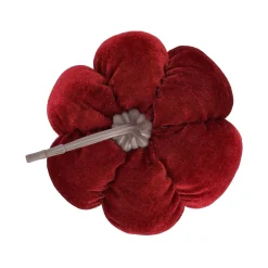 Pompoen fluweel 15 cm