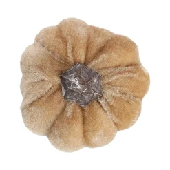 Pompoen fluweel 6cm