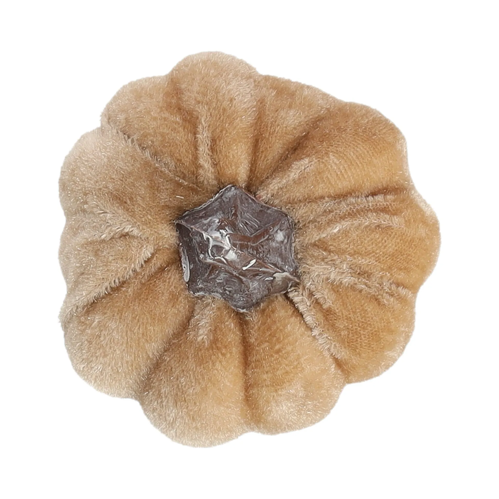 Pompoen fluweel 6cm