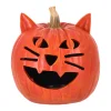 Pompoen Halloween kat LED 25 cm