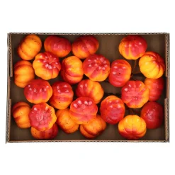 Pompoen mini mix