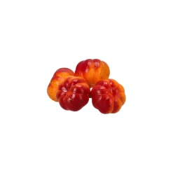 Pompoen mini mix