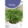 Potbasilicum Bascuro zaad