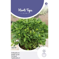 Potbasilicum Bascuro zaad