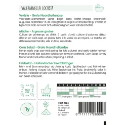 Rapen ronde witte roodkop zaad