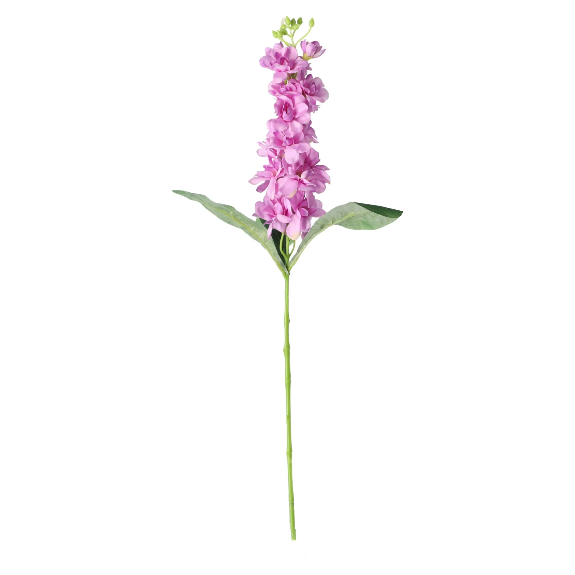 Ridderspoor 51 cm lila