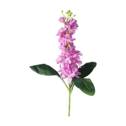 Ridderspoor 51 cm lila