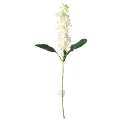 Ridderspoor 51 cm wit