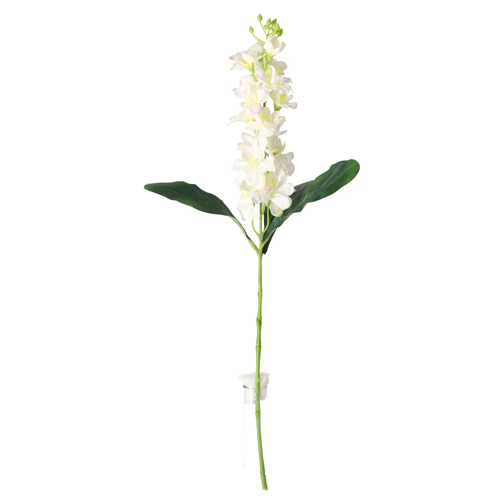 Ridderspoor 51 cm wit
