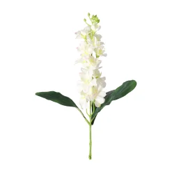 Ridderspoor 51 cm wit