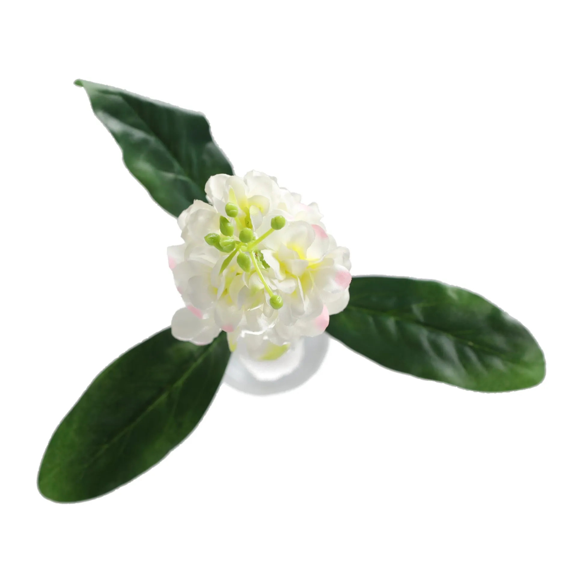 Ridderspoor 51 cm wit