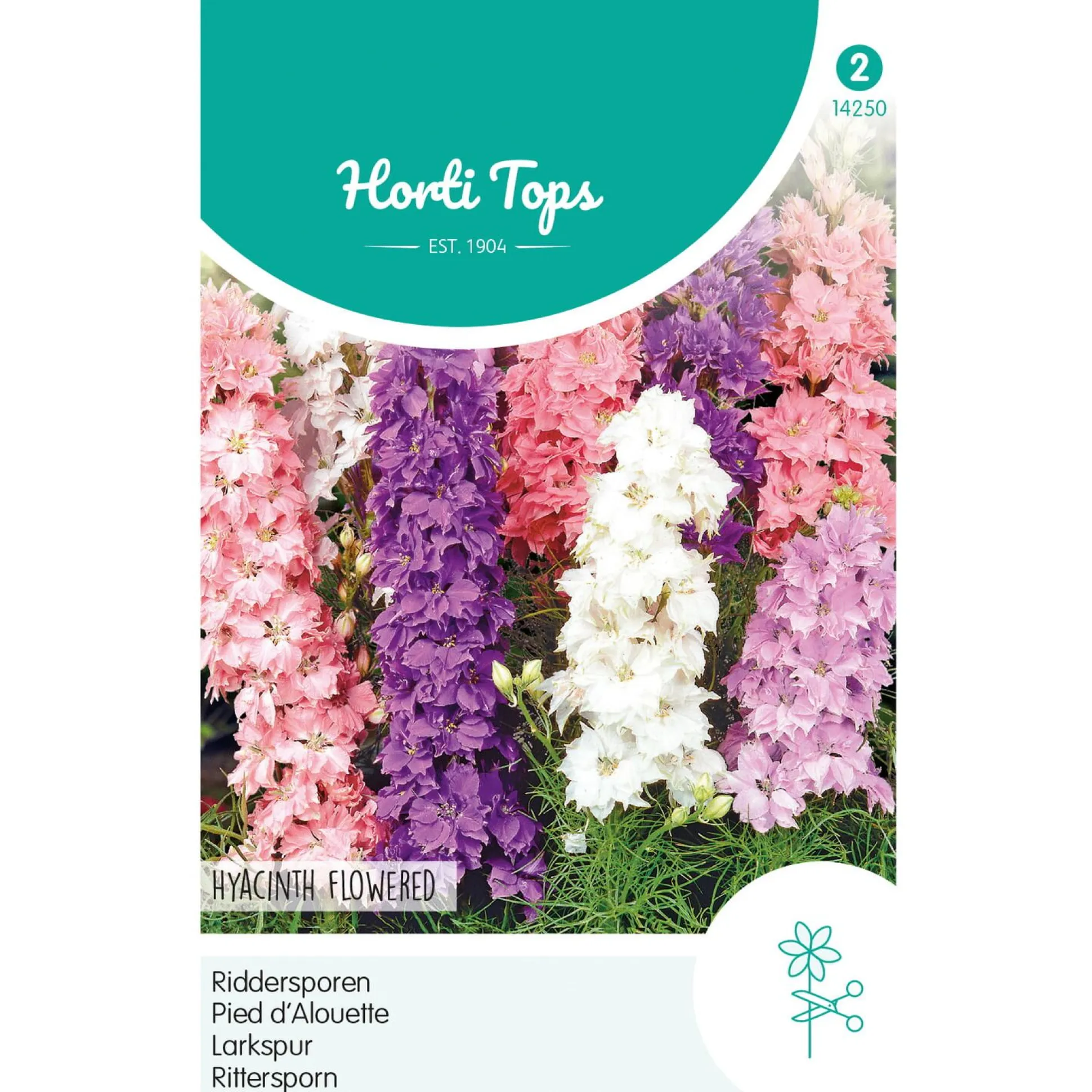 Ridderspoor Hyacinthbloemig Mix