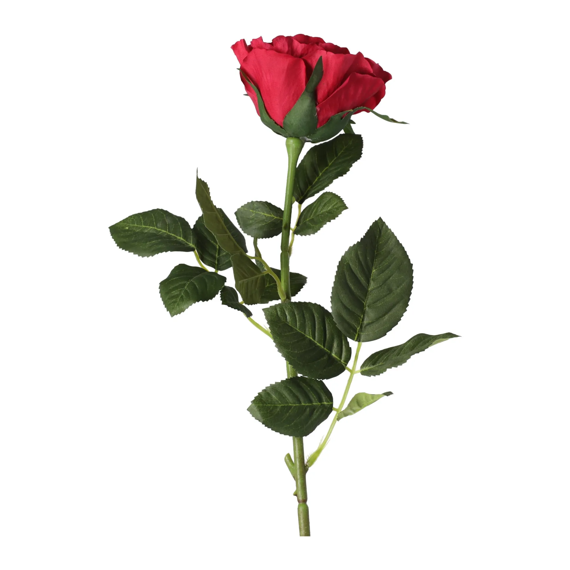 Roos op steel rood 71 cm