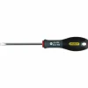 Schroevendraaier ST 5,5 x 100 mm Stanley