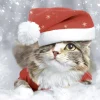 Servet 33 x 33 cm Kitten Christmas