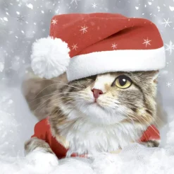 Servet 33 x 33 cm Kitten Christmas
