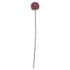 Sierui 55 cm roze