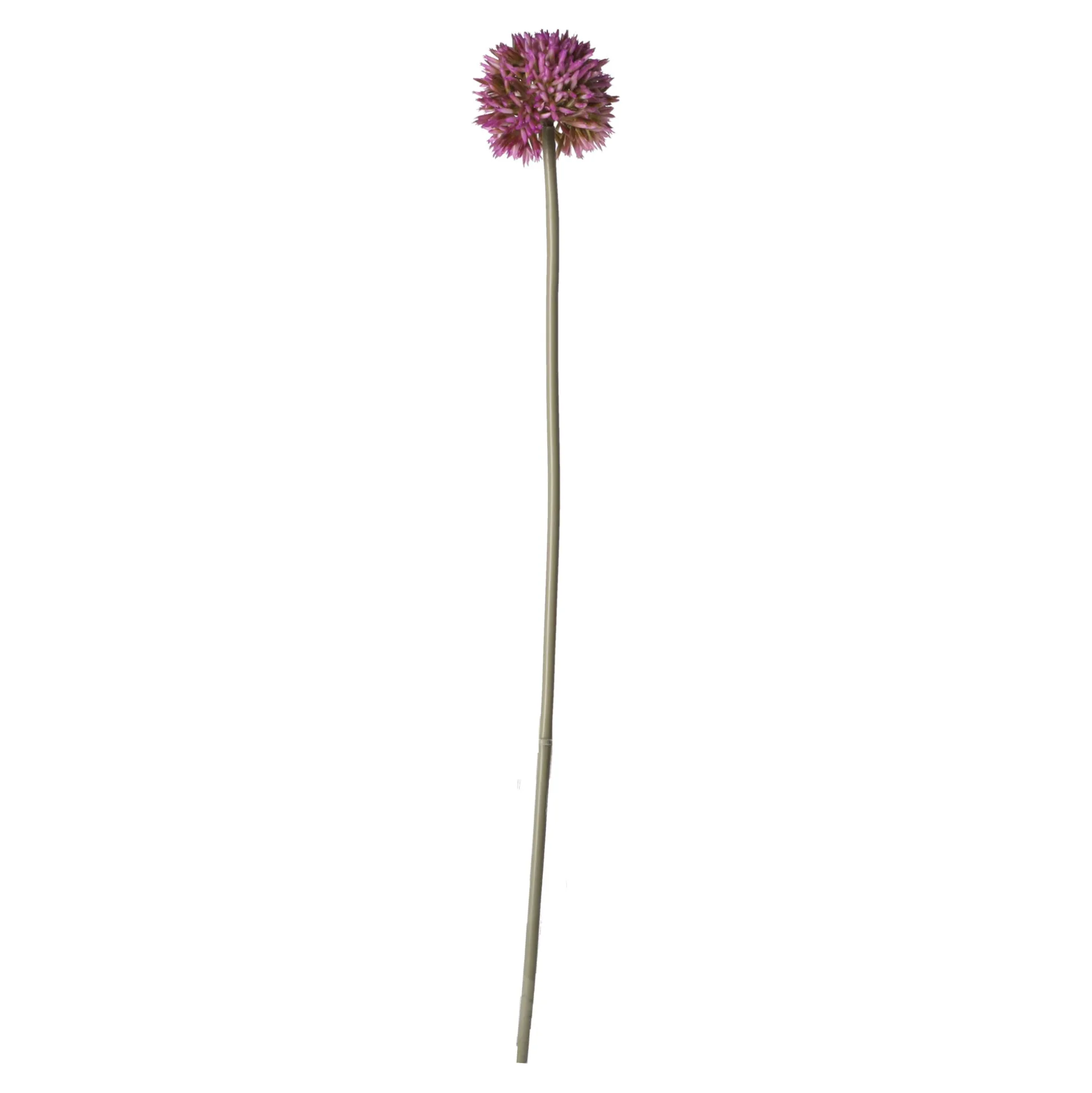 Sierui 55 cm roze