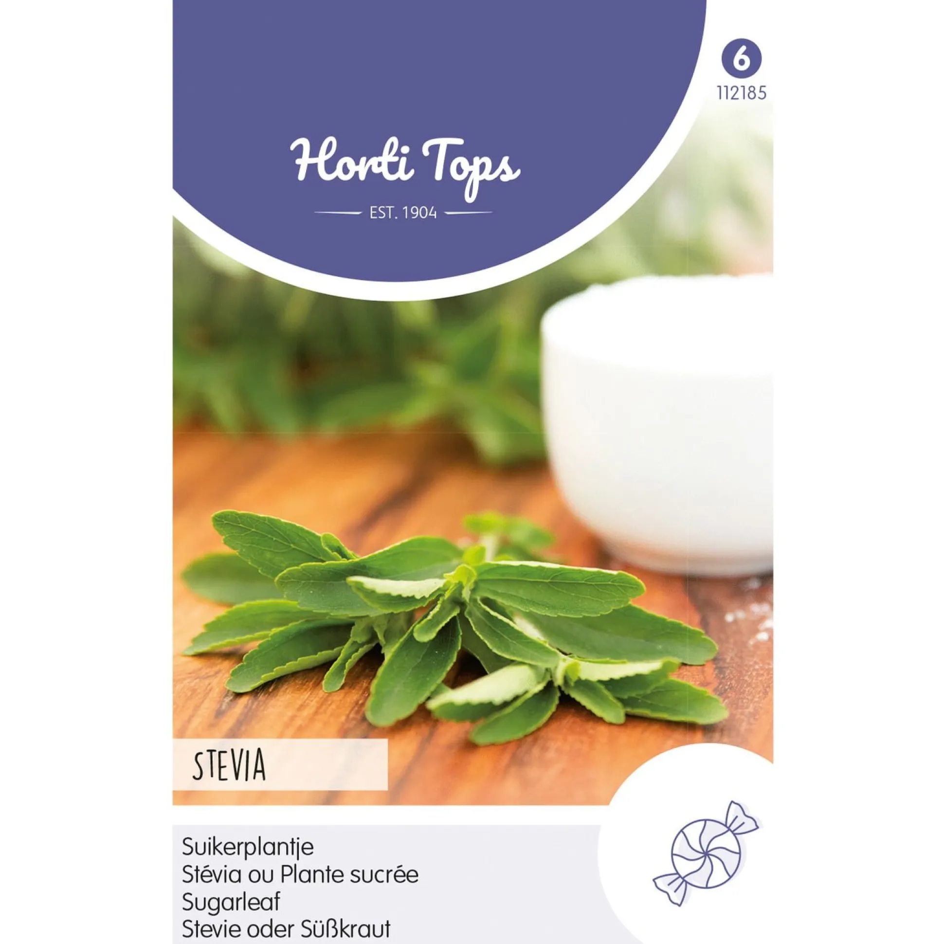 Stevia suikerplantje zaad