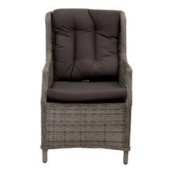 Stoel Venini Willow Grey Bois le Duc