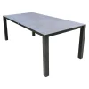 Tafel Ferovia 200x100 cm Antraciet Bois le Duc