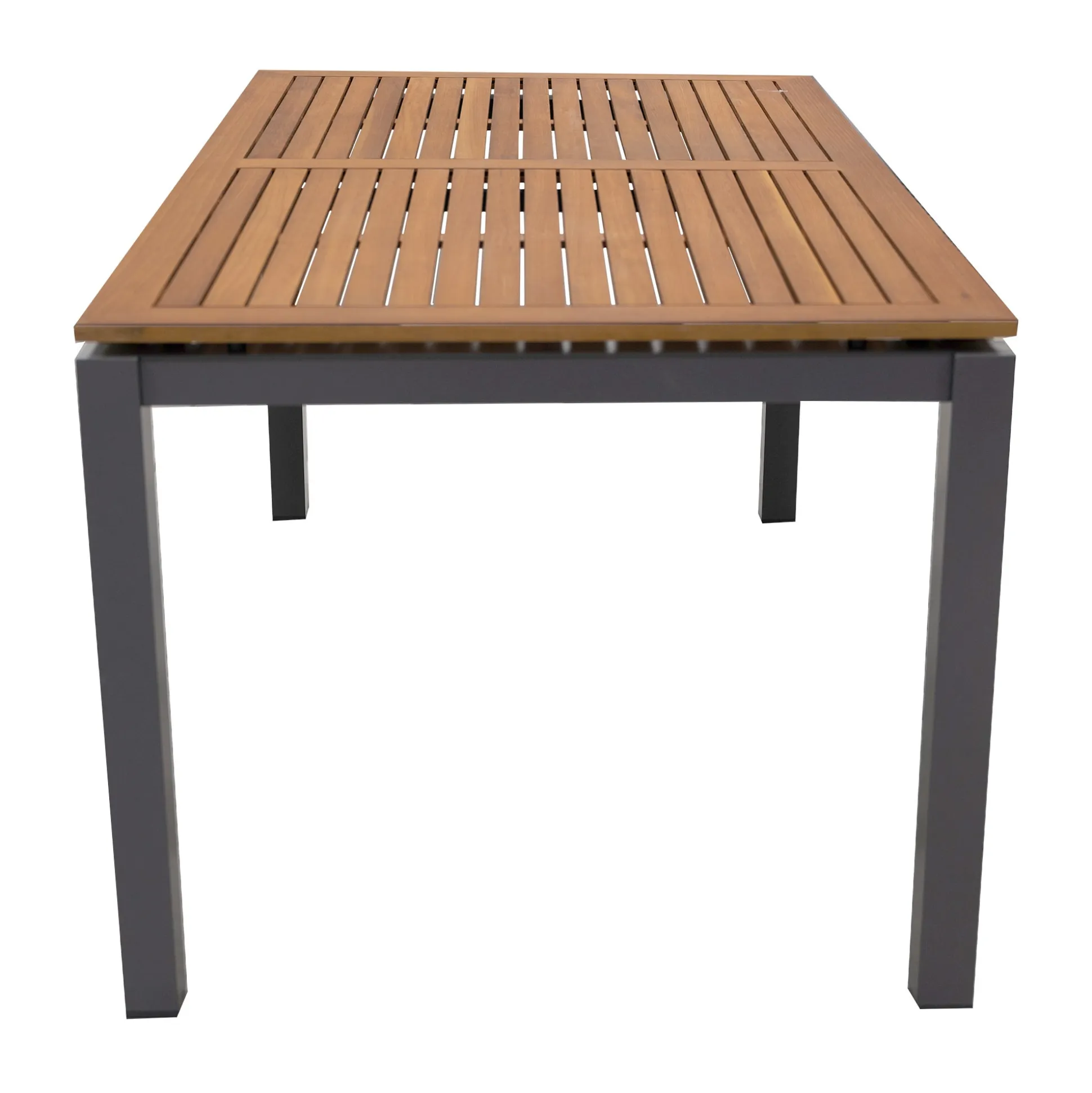 Tafel Primavera 220x100cm antra