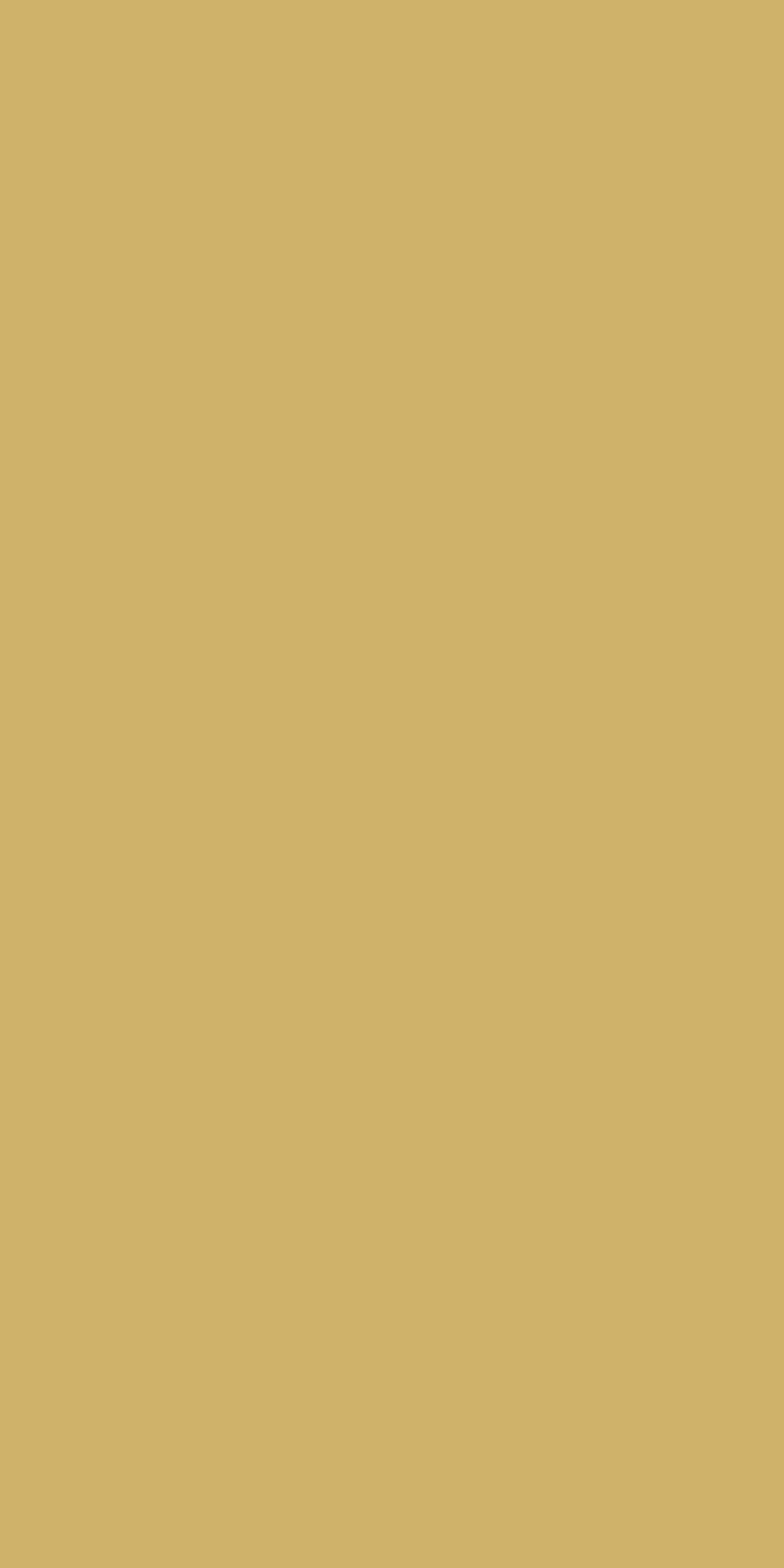 Tafelkleed 138x280 XXL gold