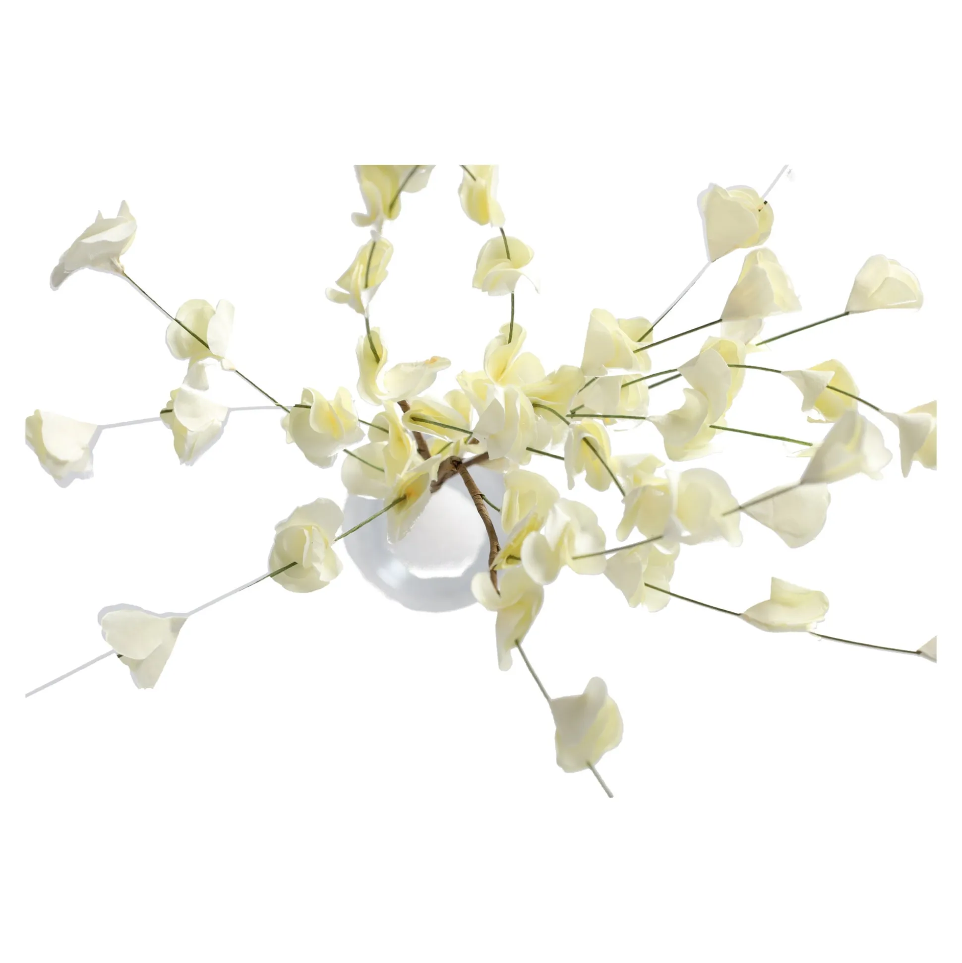 Tak blad cream 60 cm