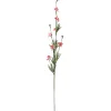 Tak bloemen Anita Rose