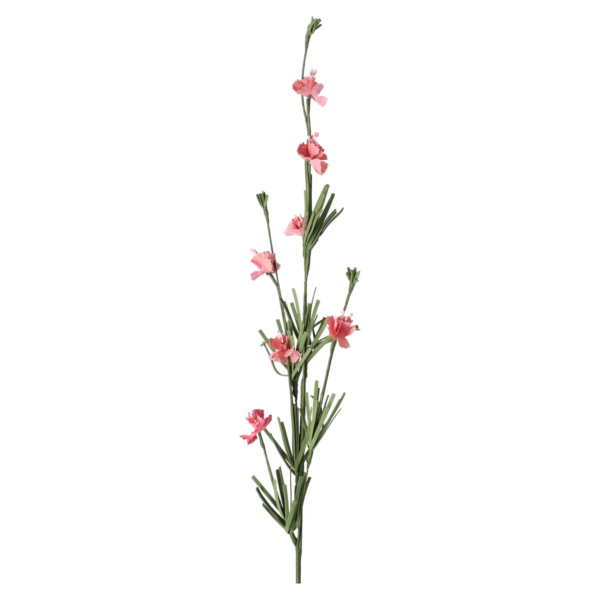 Tak bloemen Anita Rose