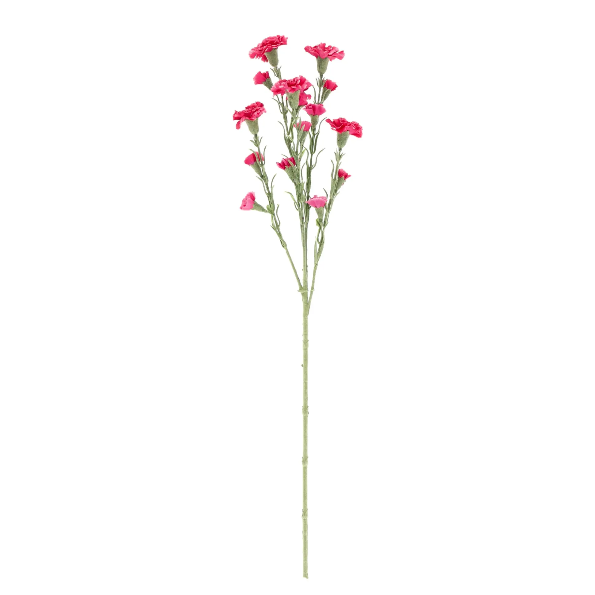 Tak carnation roze 68 cm