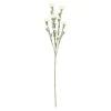 Tak carnation wit 68 cm