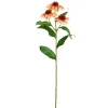 Tak Echinacea zalm 62 cm
