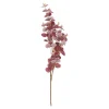 Tak eucalyptus paars 91 cm