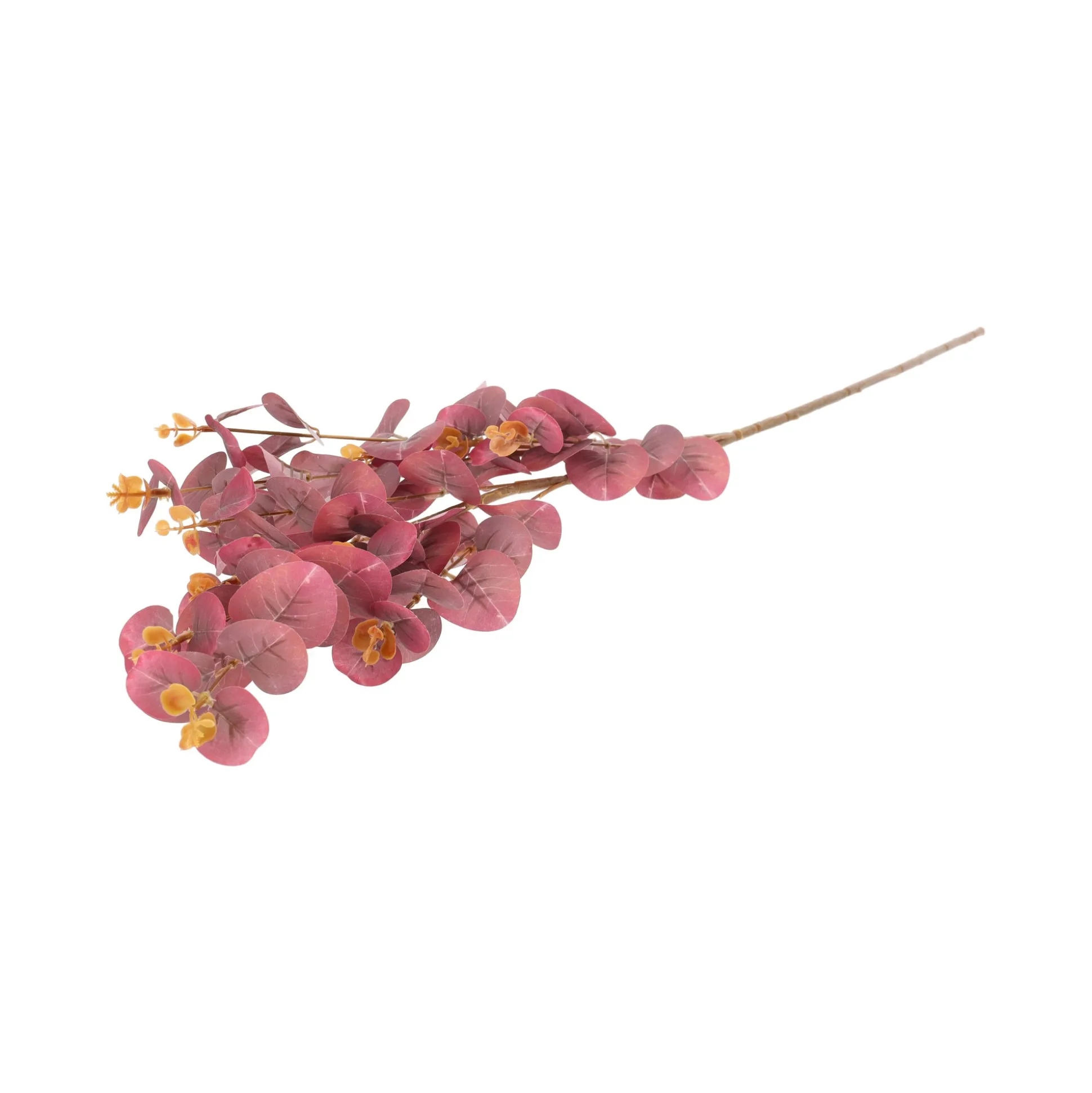 Tak eucalyptus paars 91 cm