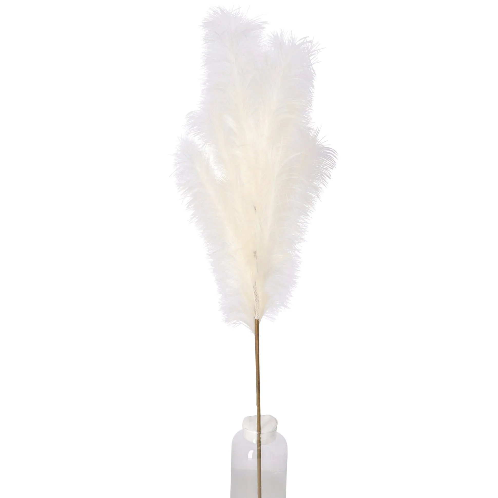 Tak gras 110 cm crème
