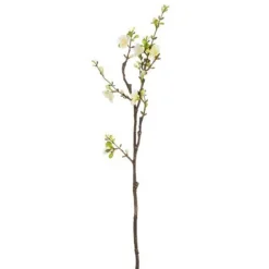 Tak Kersenbloesem creme 61 cm