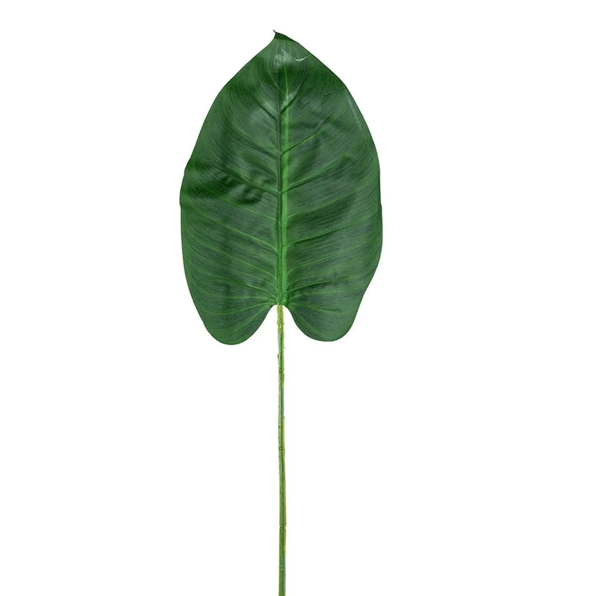 Tak Philo groen bont 78 cm