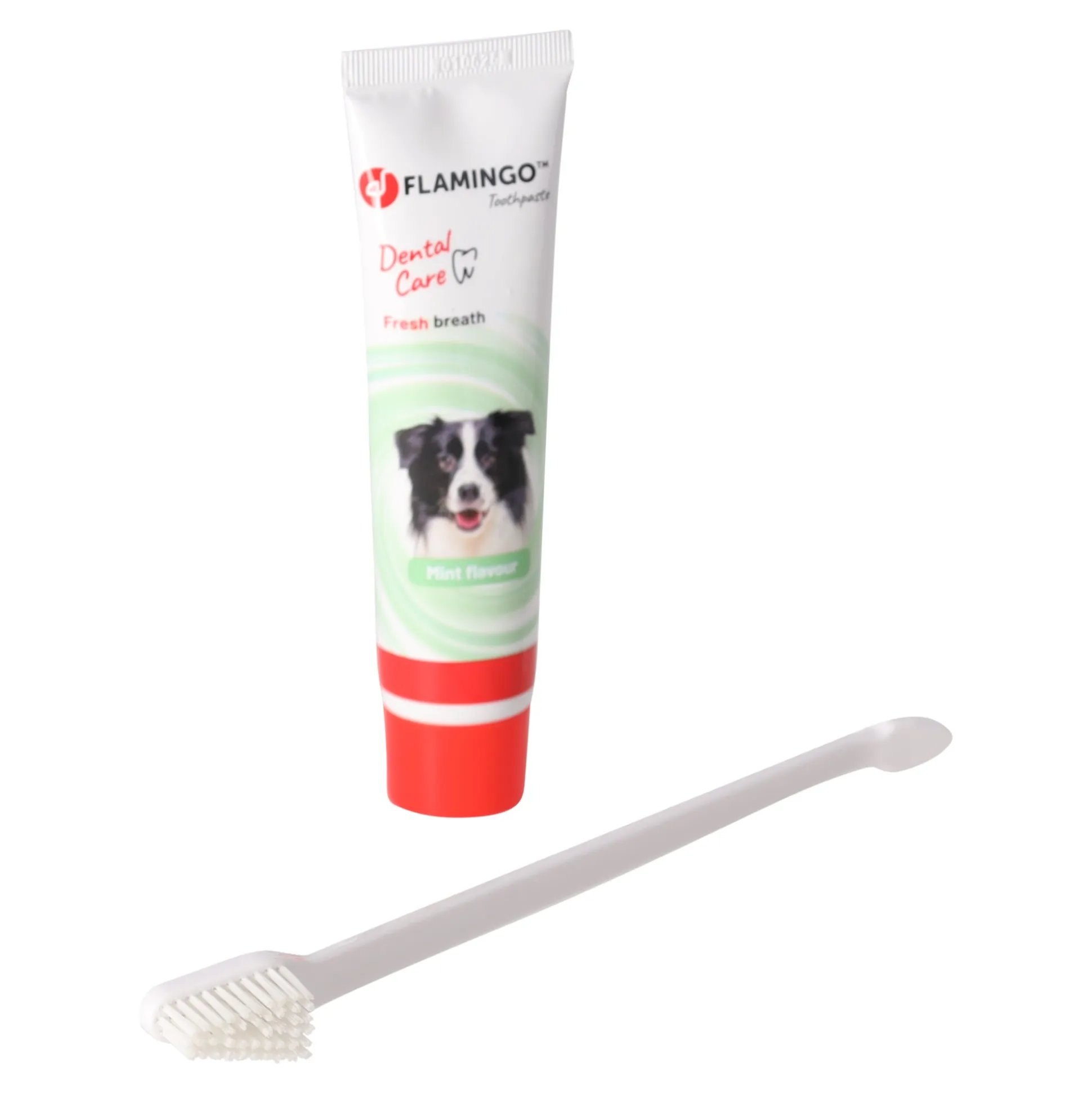 Tandpasta 85gr + tandenborstel petcare