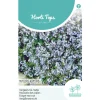 Vergeet-me-nietje blauw