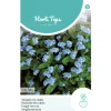 Vergeet-me-nietje Blue Ball