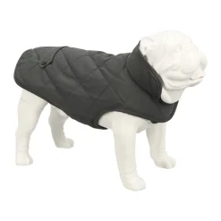 Vest hond Luna grijs 20cm