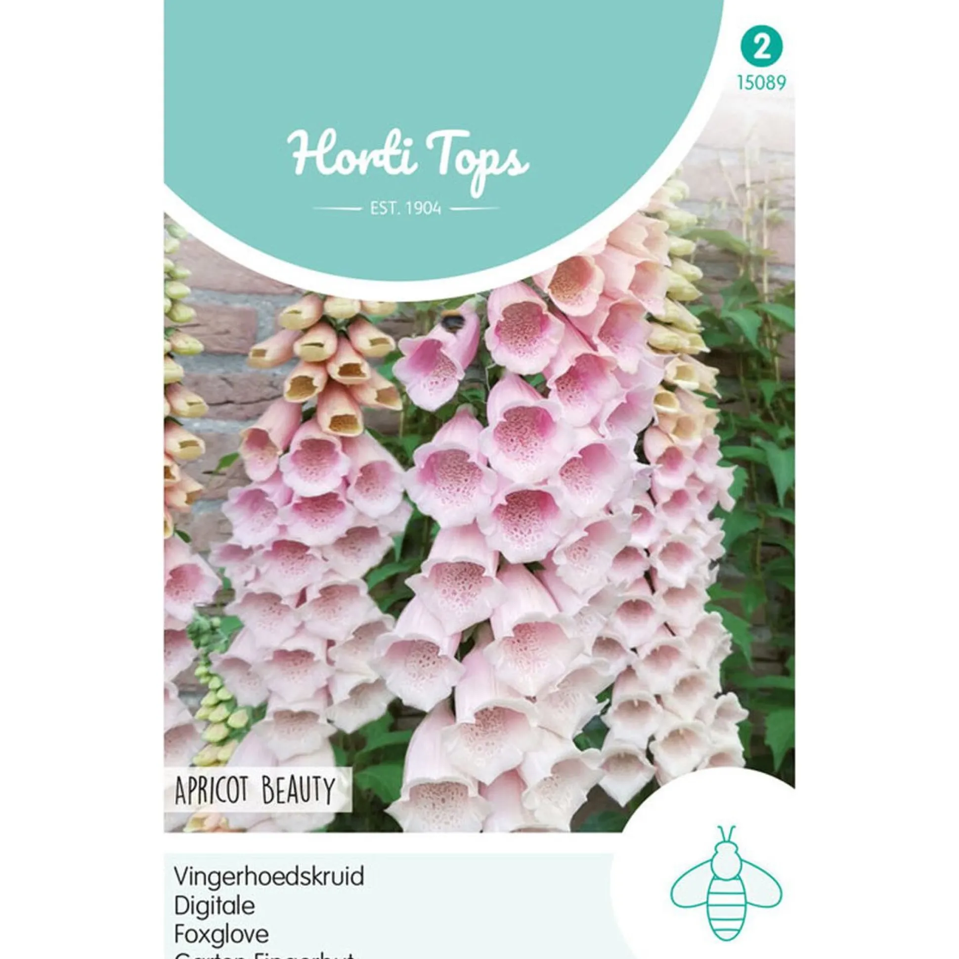Vingerhoedskruid Apricot Beauty