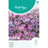 Viscaria Patio mix