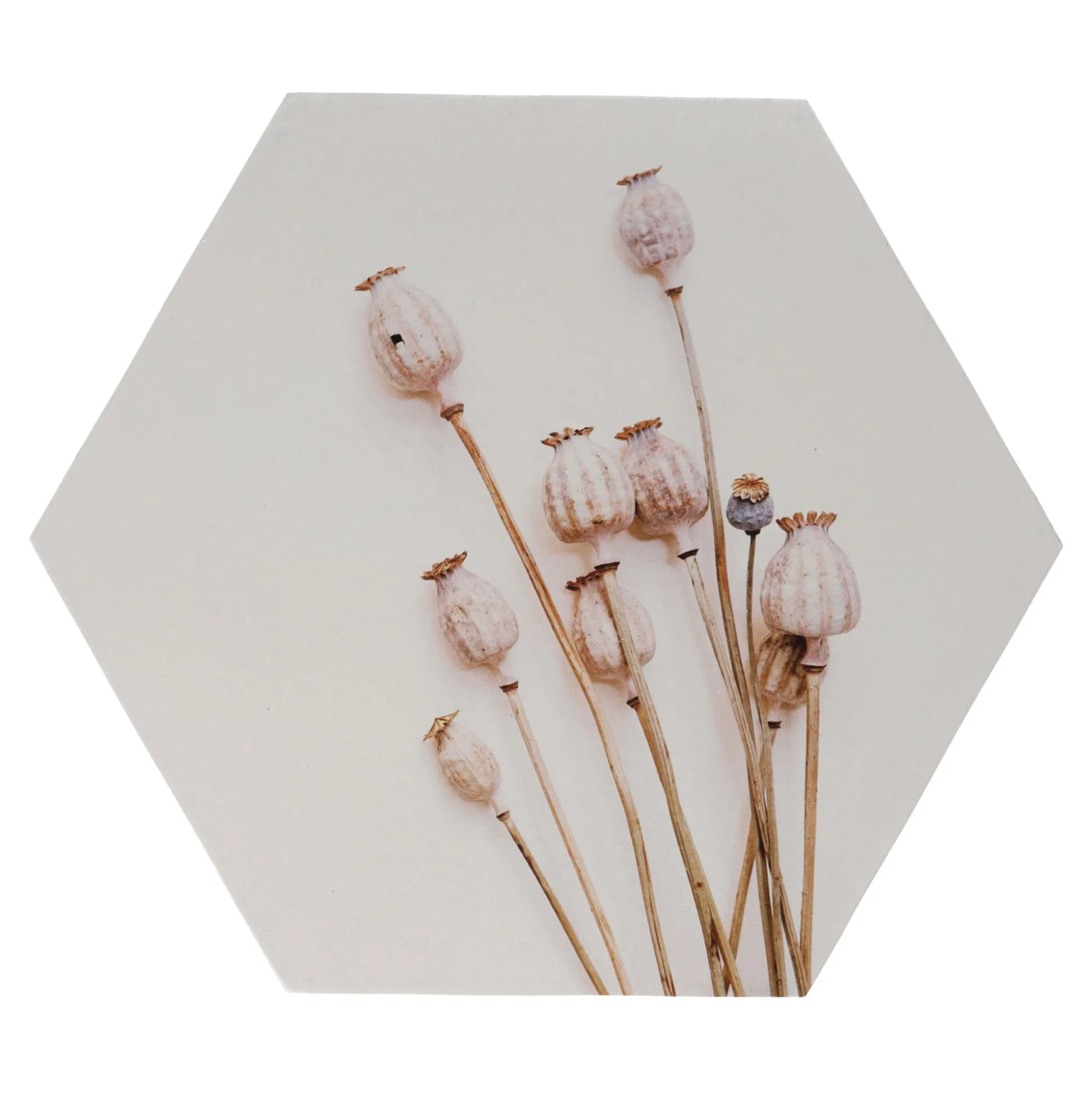 Wanddecoratie papaver 38 x 38 cm