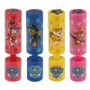 Waterkanon 15cm Paw Patrol assorti