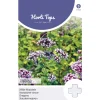 Wilde Marjolein / oregano zaad