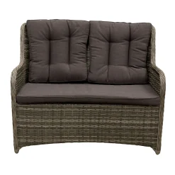 2-zits bank Ricci willow grey met kussen