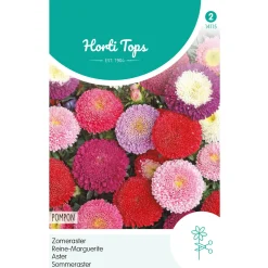 Zomeraster Pompon Mix