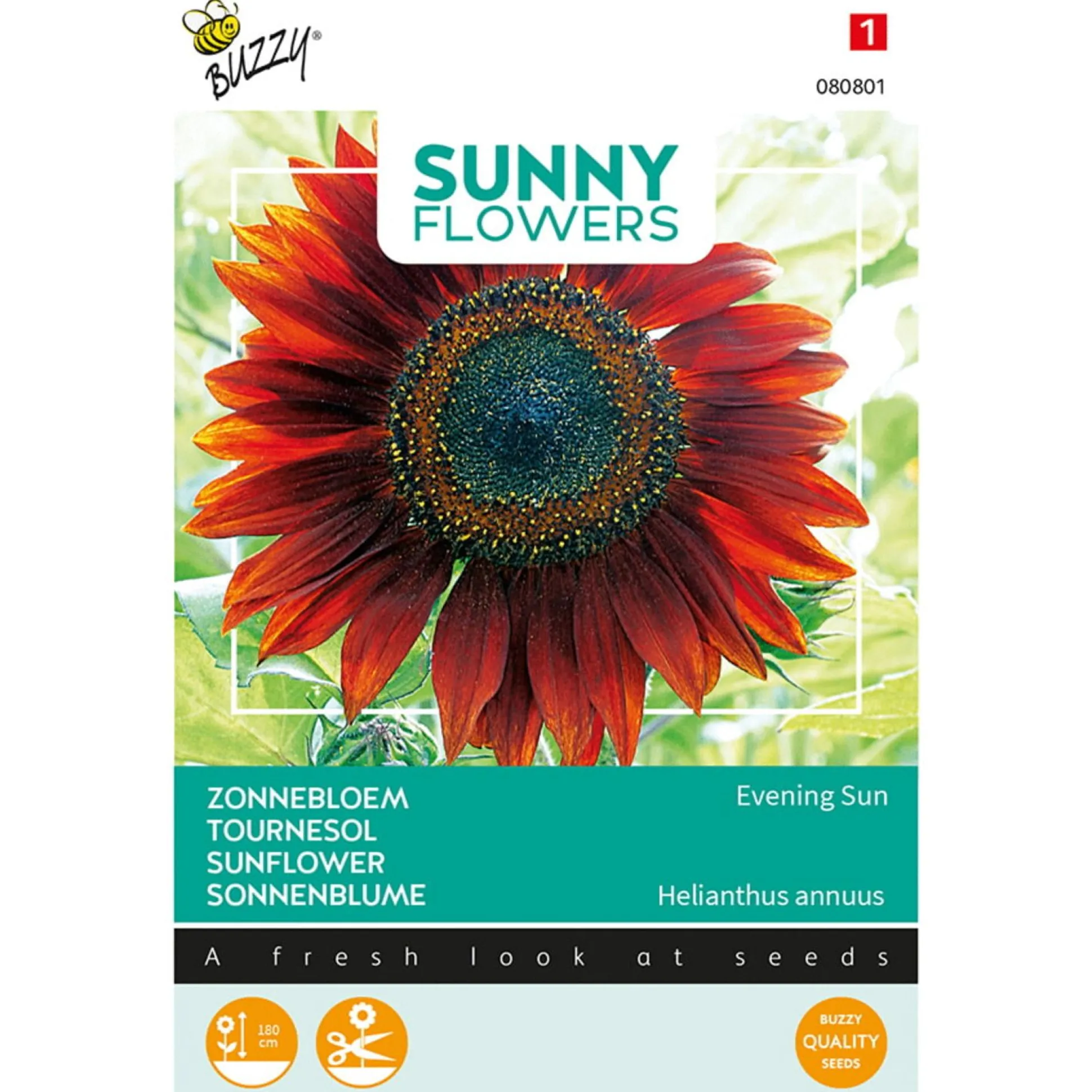 Zonnebloem Avondzon